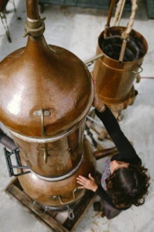 dans distillation (3)